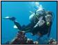 Scuba Diving