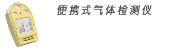 加拿大BW便携式气体检测仪